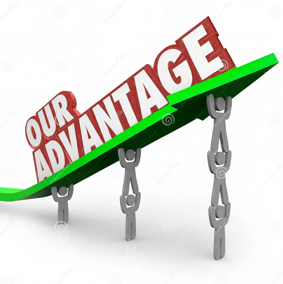 Our Advantages